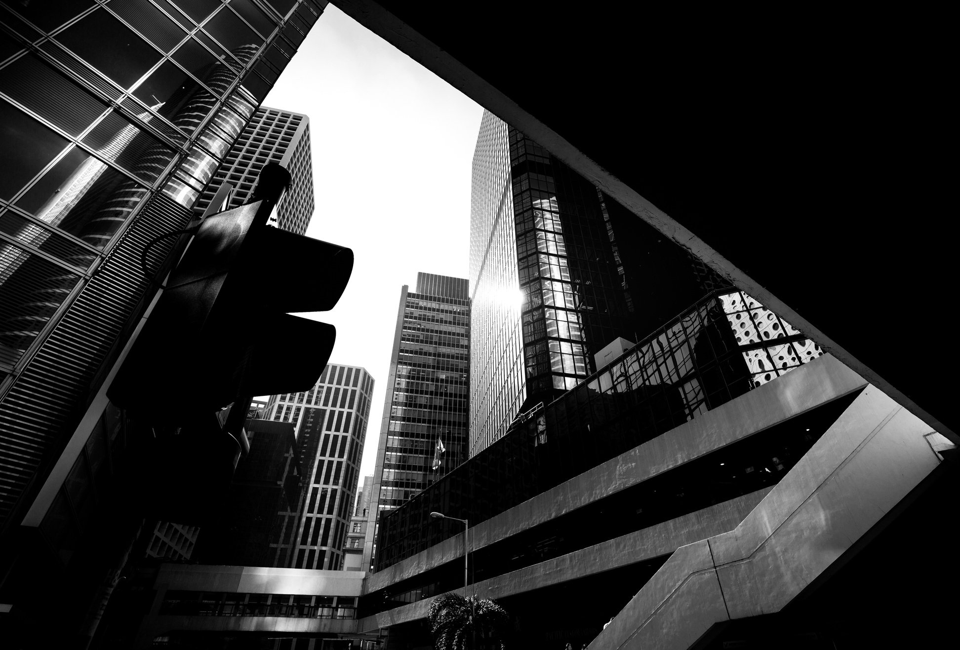 Skyscraper Buildings in Monochrome